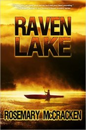 51idjyt589l__sx331_bo1204203200_