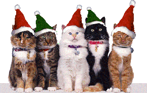 Santa Cats