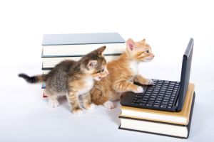 July-August Kittens with computer and books