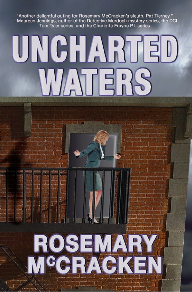 Uncharted Waters (Pat Tierney thriller)