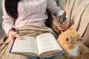 Cats and reading