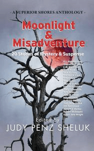 Moonlight & Misadventure Anthology